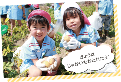 登園・朝の収穫「きょうはじゃがいもがとれたよ！」