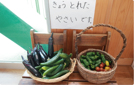 給食