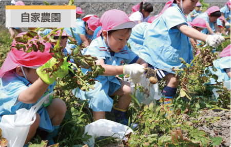 自家農園